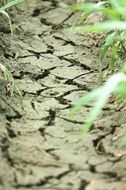 dry cracked soil