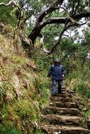 madeira highlands mountains