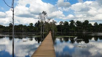 Wooden bridge over a lake among the plants in Angkor in Cambodia