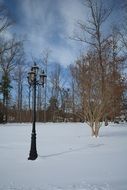 Black lamppost in winter park