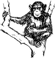 chimpanzee drawing on a tree