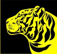 tiger head, illustration