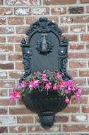 flowers bloom on the wall