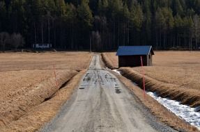 road along the fields on a sunny day