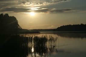 landscape of swamp grass on a lake on a sunset background in Masuria