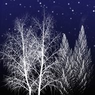 painted white winter trees against the night sky