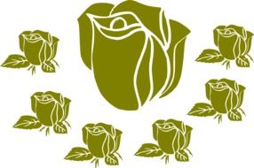 green roses as a composition in a graphic image