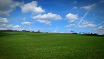 green summer meadow under a blue sky with clouds