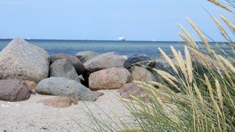 Baltic beach coast