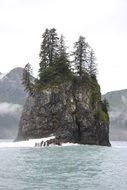 Alaska nature