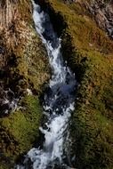 rapid source in the forest