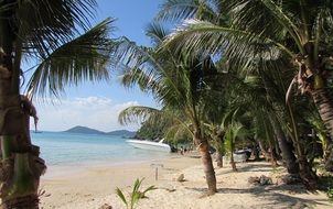 paradise tropical beach on a sunny day