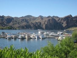 boats on a lake in arizona