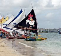 enchanting pernambuco porto