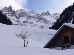 snowy mountain log cabin