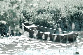 rowing boat by the river