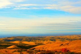 boise desert blue
