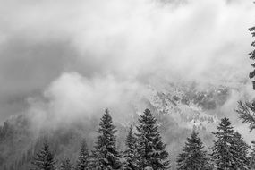 white thick clouds in the mountains