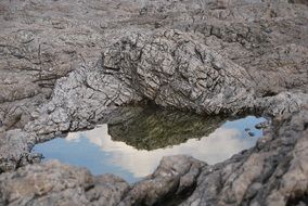 puddle in stony ground