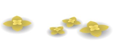 yellow flowers on a white background