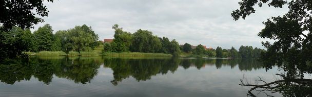 panorama of a lake in a green forest