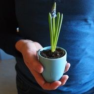 blue cup of flower
