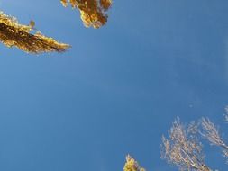 blue sky in autumn