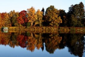 mirror reflection of autumn trees in the water