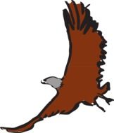 clipart of eagle flying with soaring wings