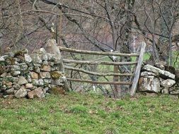 rustic wooden fence with stones scene