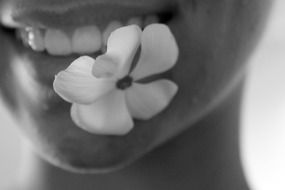 monochrome photo of flower in white teeth