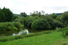 river in green forest landscape