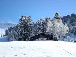 terrific wintry mountain