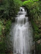 waterfall among the green vegetation