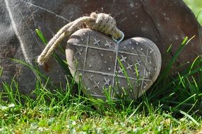 heart nature wood