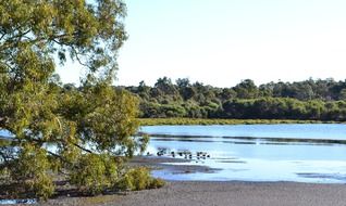 quiet lake in picturesque australia