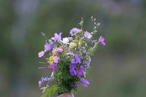 a bouquet of mountain flowers