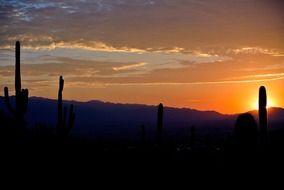 landscape of sunrise in Arizona