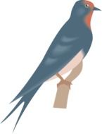 Beautiful and colorful drawing of the swallow clipart