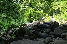 Landscape of the rocky quarry