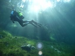diver on a green lake