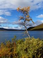Finnish landscape of Lapland
