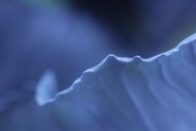 sheet in blue background