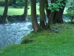 landscape of the water stream and trees