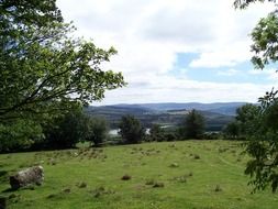 green meadow in countryside at summer, ireland, wicklow county