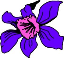 graphic image of a bright flower with purple petals