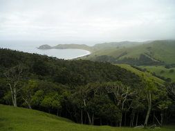 panorama of the north island in new zealand