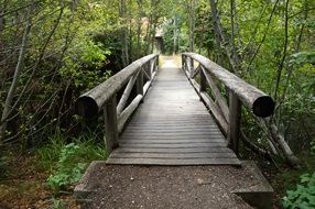 wooden bridge with railing across creek in forest