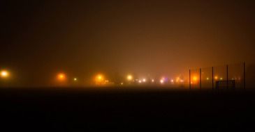 multicolored night lights on the edge of the pasture