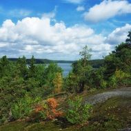 Beautiful lake with colorful plants on the shore in Uppland, Sweden